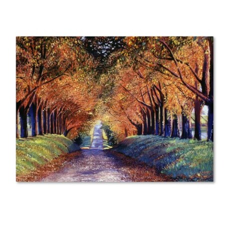 Trademark Fine Art David Lloyd Glover 'Road to Cognac' Canvas Art, 35x47 DLG0377-C3547GG